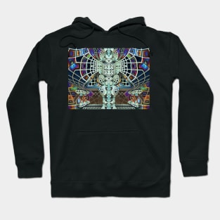 Wheel of Color Bursts Hoodie